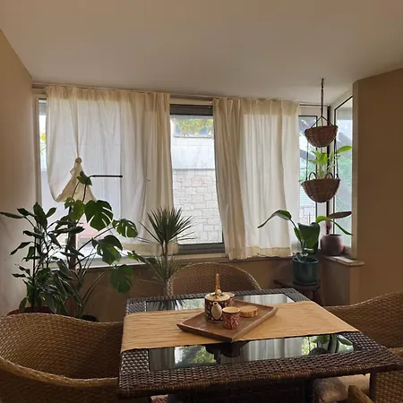 Cozy At The Market Apartment Zadar